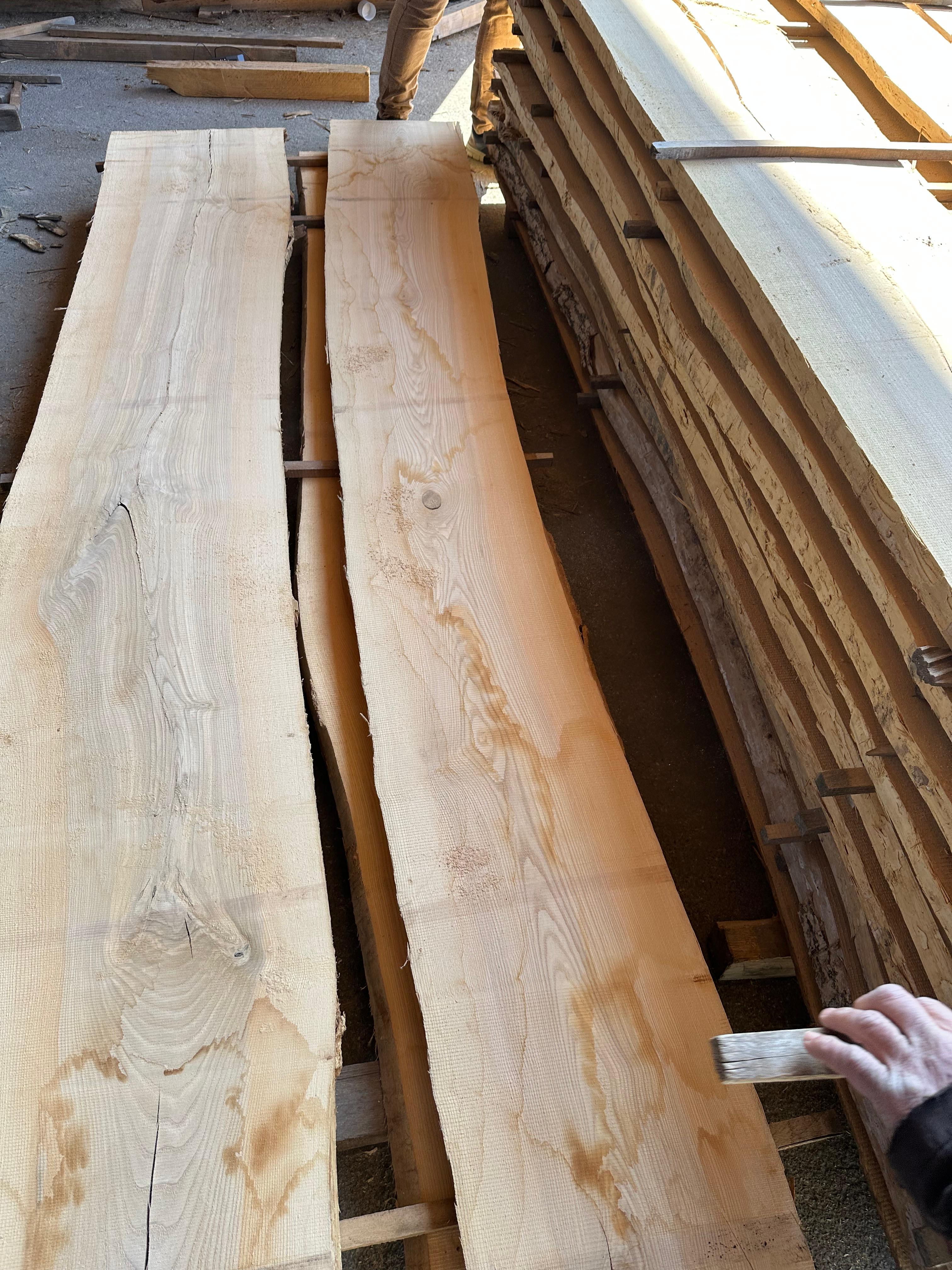 European Ash Lumber
