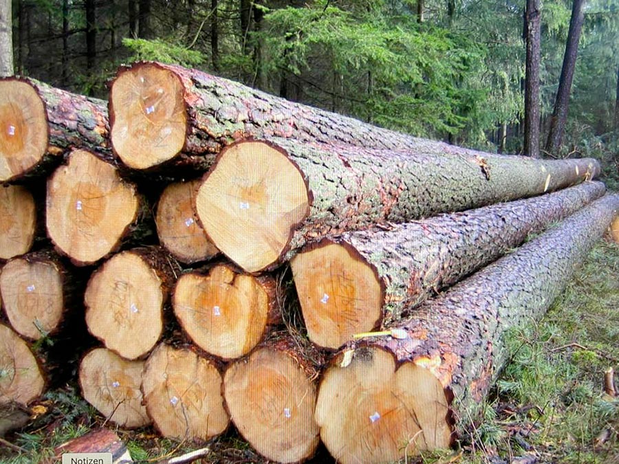 European Pine Logs
