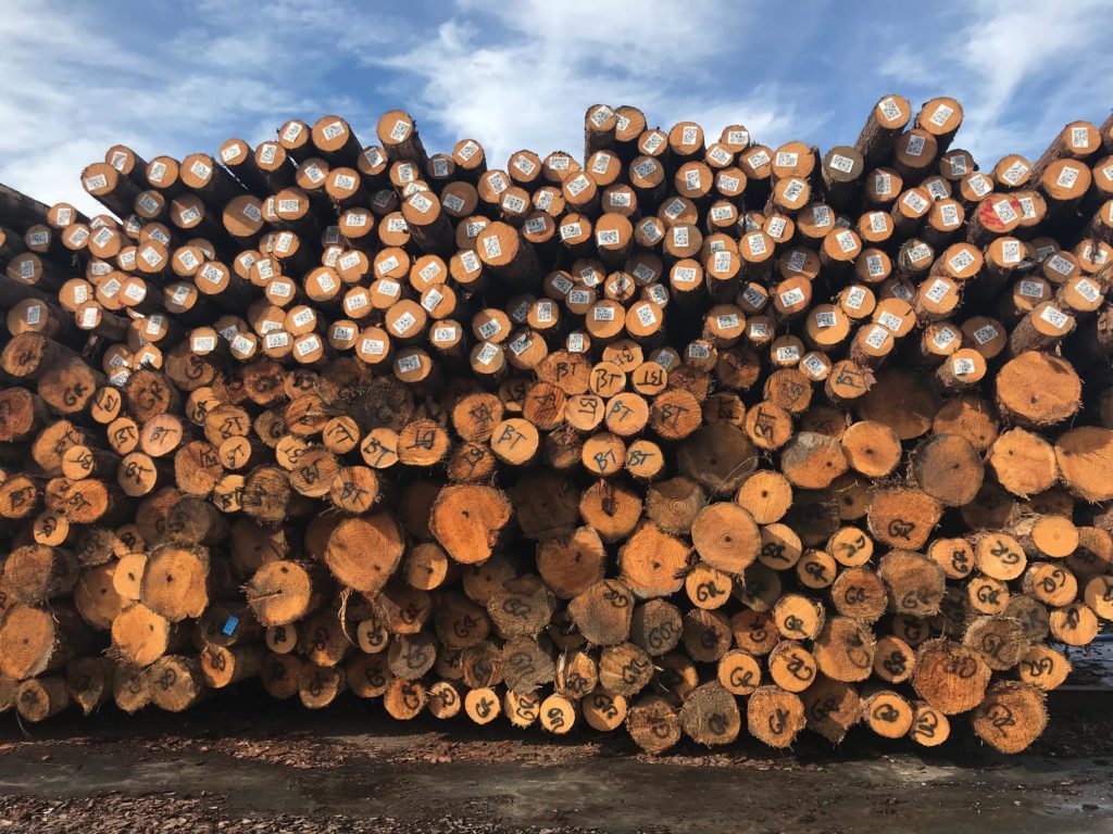 Southern Yellow Pine Logs